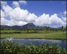 Koloa in the State of Hawaii